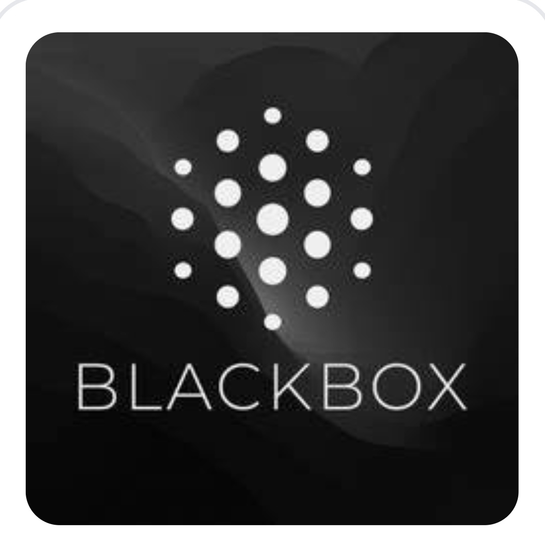 Blackbox AI
